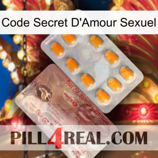 Sex Love Secret Code new13